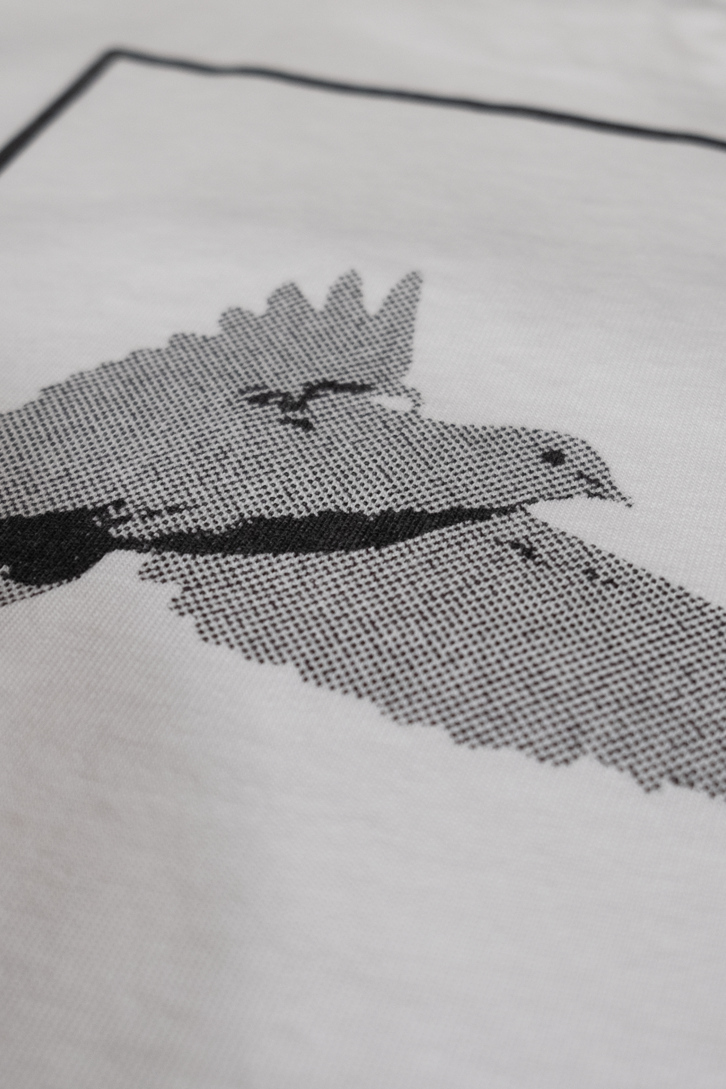 BOX FIT GRAPHIC T-SHIRT