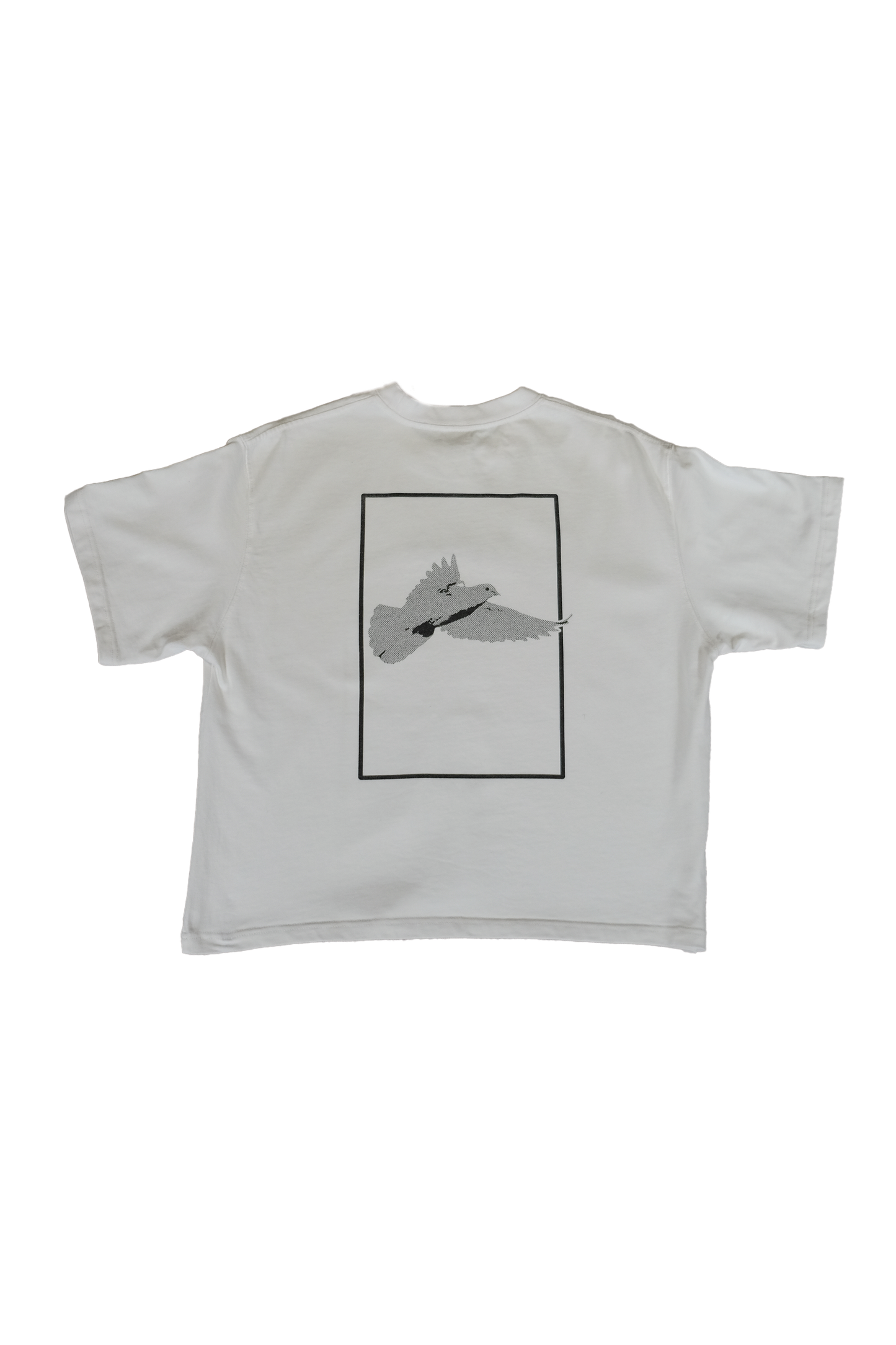 BOX FIT GRAPHIC T-SHIRT